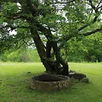 Maison De Charme En Dordogne Avec Parking Et Animaux Acceptes - Fr-1-616-103 Дом отдыха Monsac