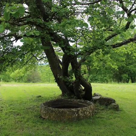 Maison De Charme En Dordogne Avec Parking Et Animaux Acceptes - Fr-1-616-103 Holiday home Monsac