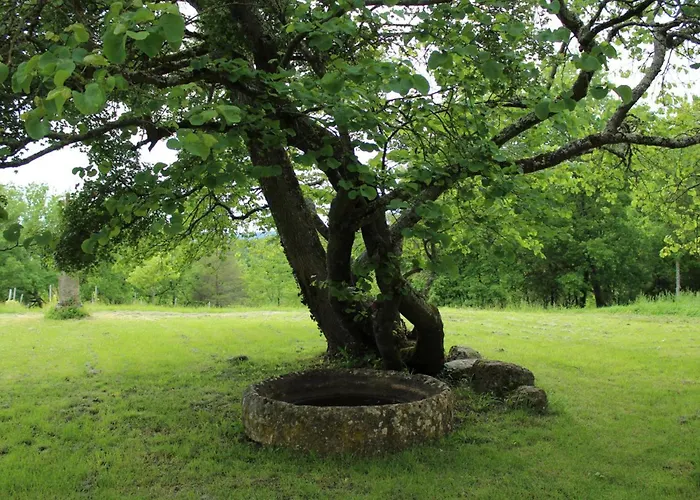 Maison De Charme En Dordogne Avec Parking Et Animaux Acceptes - Fr-1-616-103 Casa vacanze Monsac